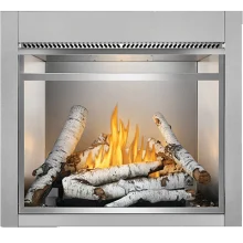Napoleon Premium Screen Kit With 1" Stainless Steel Frame for 42" Riverside Fireplace